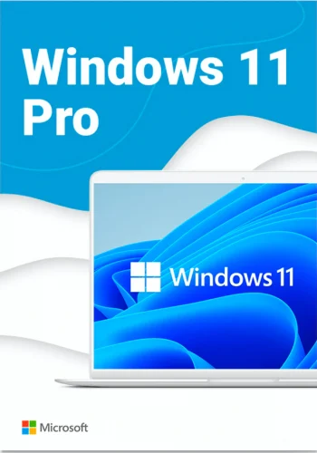 windows-11-pro-1000x1000-1644194884450